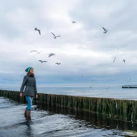 Likedeeler Whg Li39 アパート *