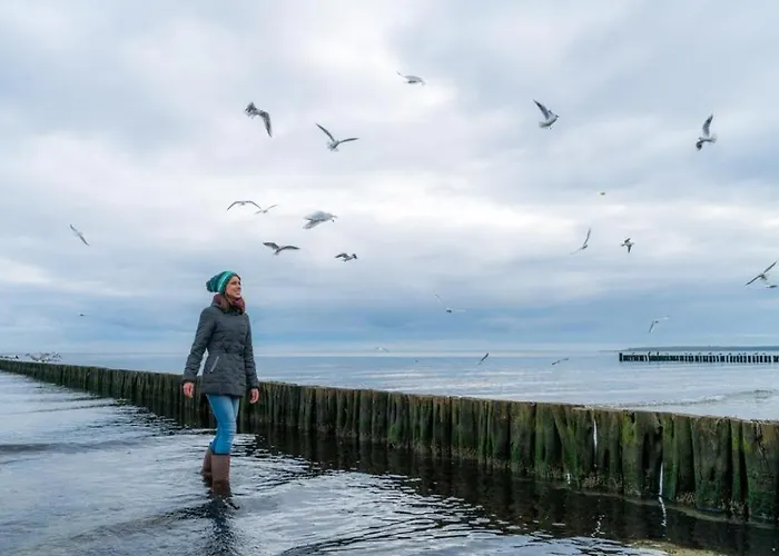 Likedeeler Whg Li39 شقة *